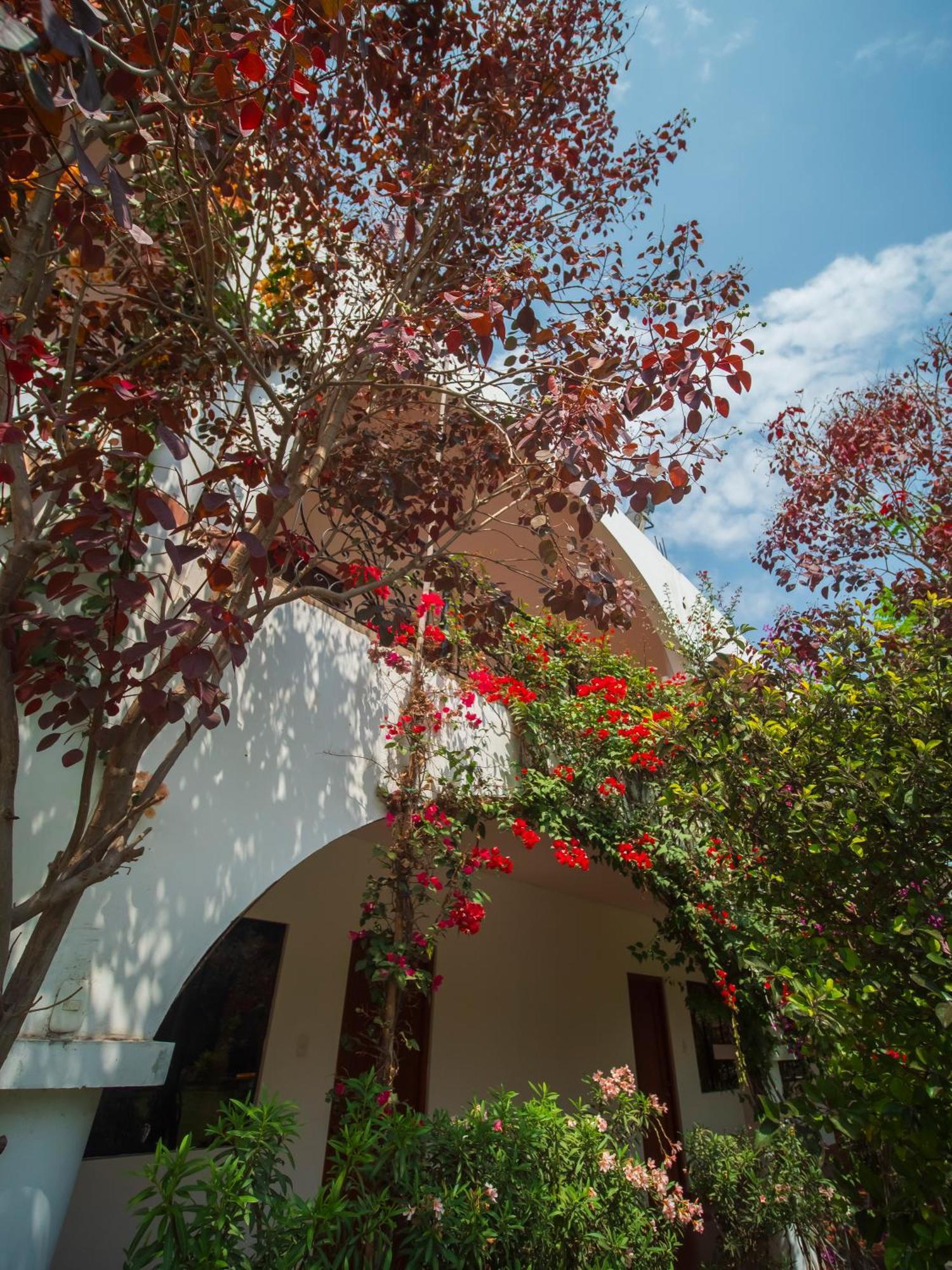 Casa Hotel Mamaluna Lunahuaná Exterior photo